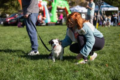 Person squatting down to pet a small dog at Strut Your Mutt