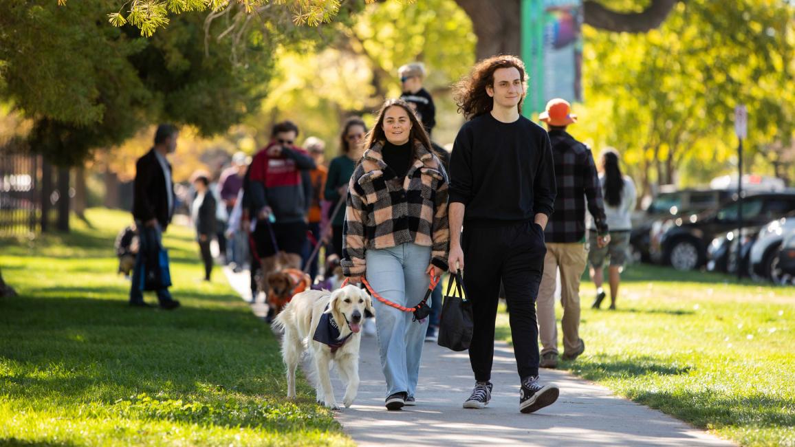 Group of people and dogs walking on a path in Strut Your Mutt outside surrounded by trees and grass