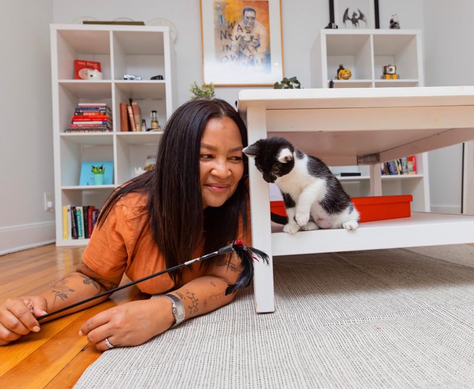 Person playing with a tiny kitten in a home