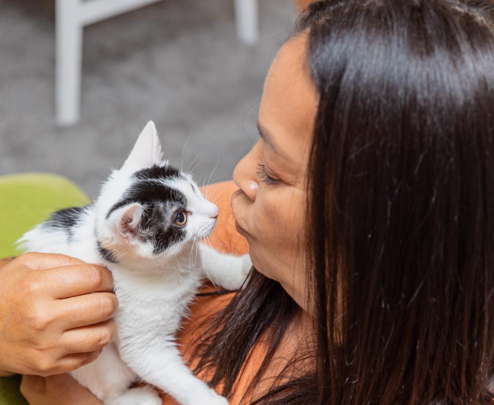 Person holding a tiny kitten in their arms