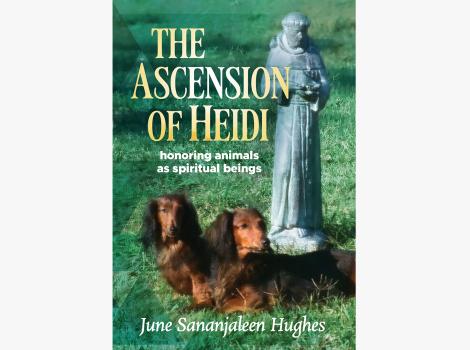 ‘The Ascension of Heidi’ book cover