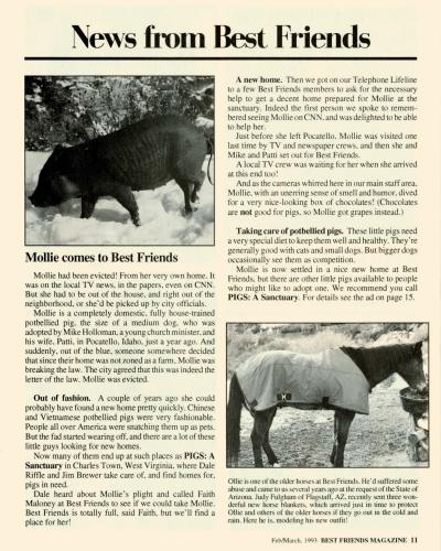 Vintage magazine article preview