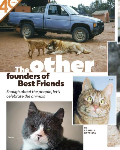 Preview of magazine article