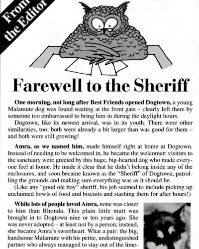 Preview of magazine article