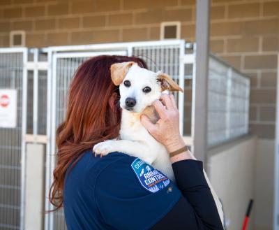 Person holding a dog at an animal shelter