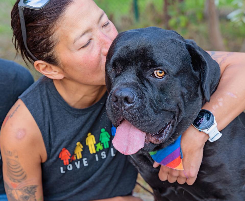 Person hugging a dog