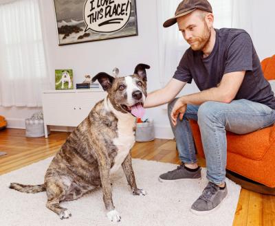 Happy big dog in a living room with a person