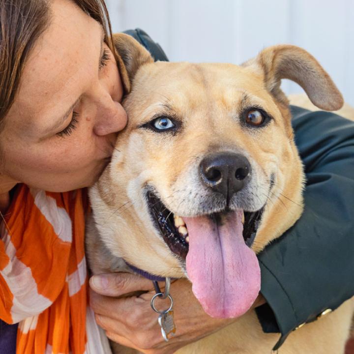 Person hugging a dog outside