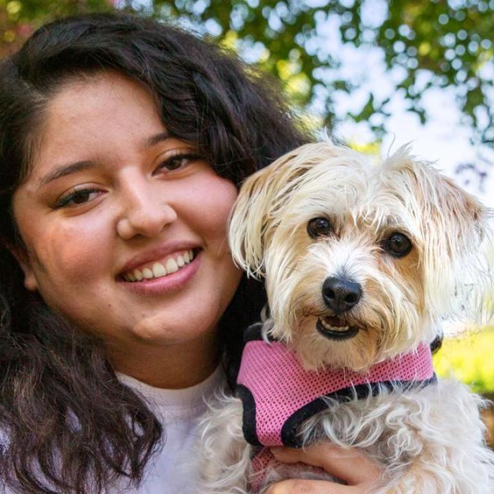 Happy person holding a tiny dog outside in a yard