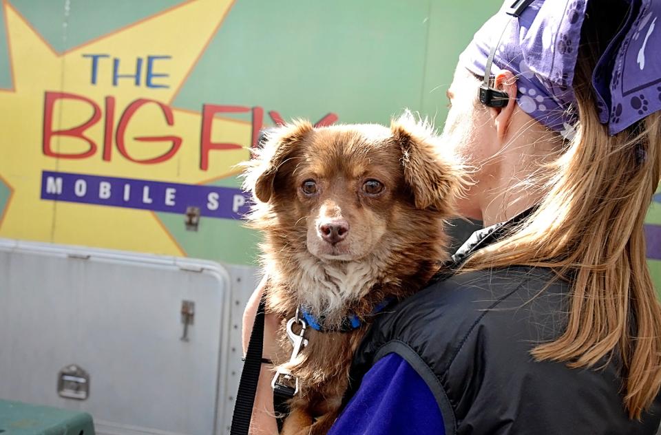 Woman holding small brown dog by mobile clinic vehicle