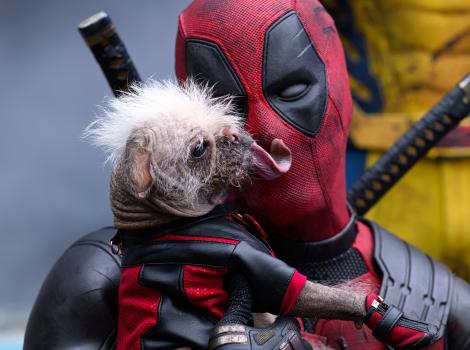 Deadpool holding Dogpool