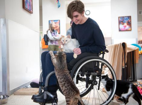 Sébastien in a wheelchair with Theophiel the cat in his lap and another cat stretching up to them