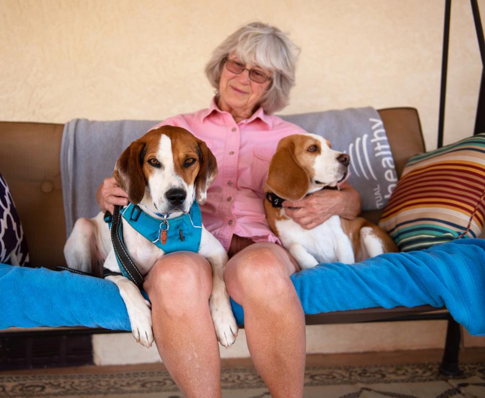 Person relaxing on a porch swing with their two dogs by their side