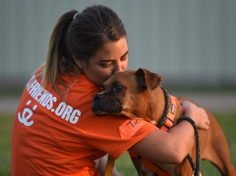 Best Friends caregiver hugging a boxer dog