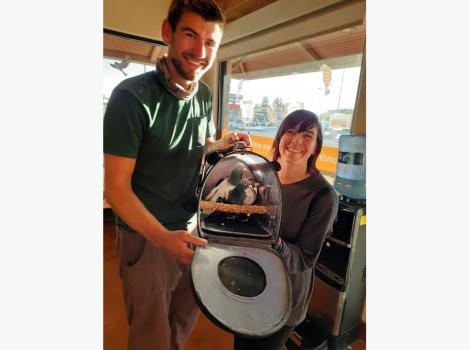 Ethel and Skylar the pigeons in a carrier being held by Kyle and Naomi