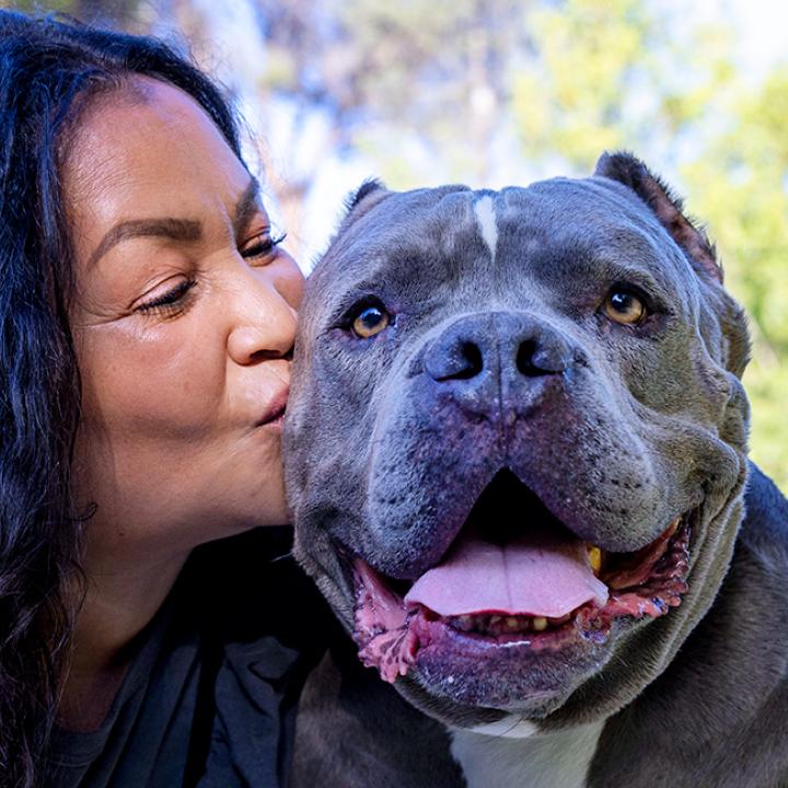 Person kissing the cheek of a gray and white pit bull terrier, outside with trees in the background