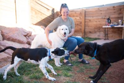 Makayla with Greggy and her own dogs, who are playing