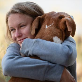 Person hugging a brown and white dog with both arms wrapped around the dog's neck