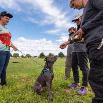 Group of people outside with a dog on a leash teaching him to sit