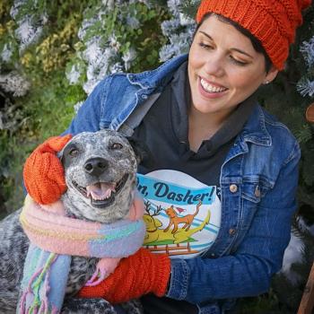 Dog wearing a scarf next to person wearing a jacket, mittens and a hat