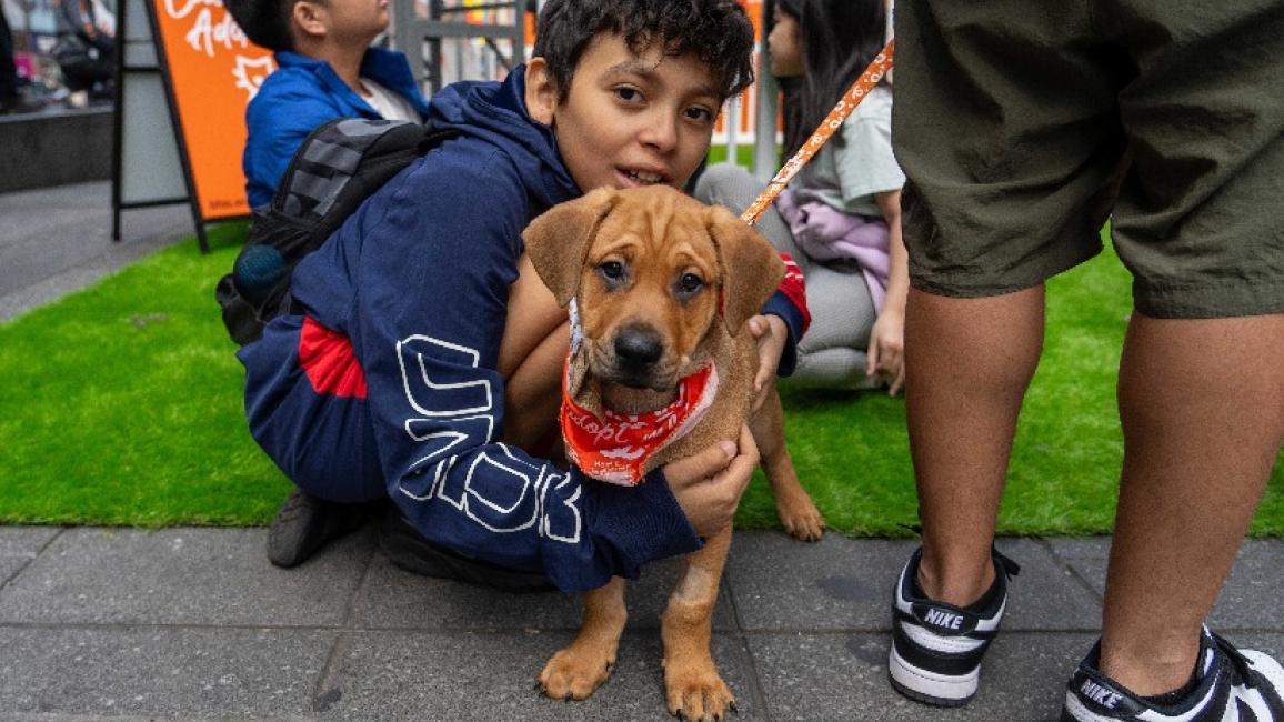 Childing hugging a brown puppy who is wearing a red bandana