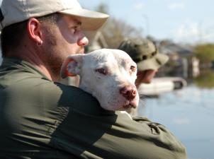 Best Friends employee with a rescued dog being held over his shoulder