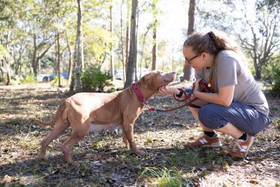 Amy Kohlbecker outside with a dog