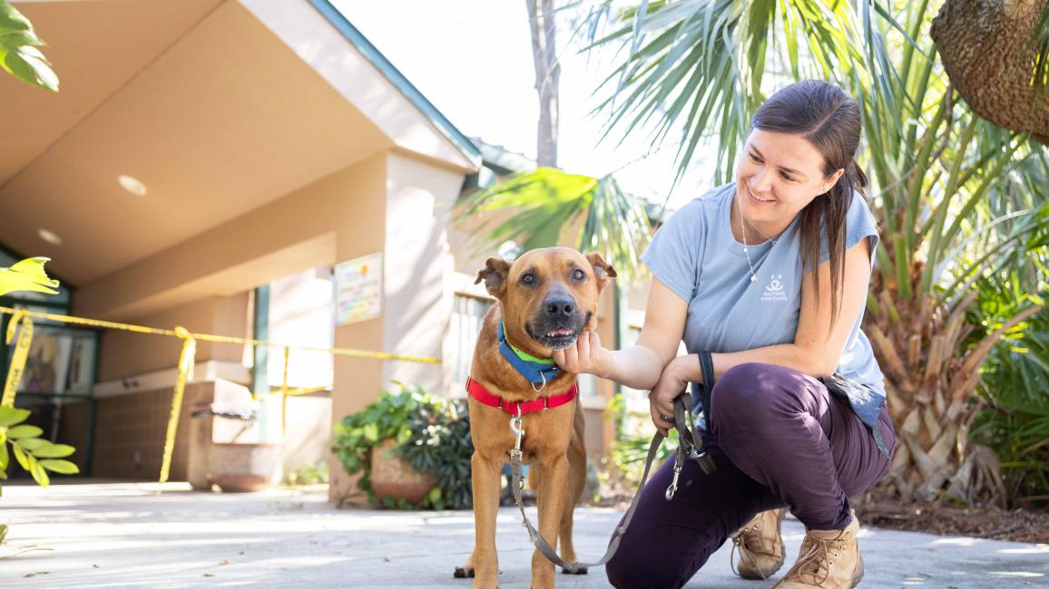 Person with a brown dog outside Pinellas County Animal Services following Hurricane Milton