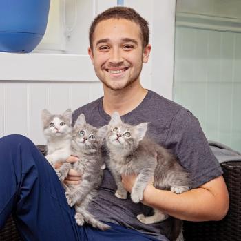 Smiling person holding three gray tabby kittens