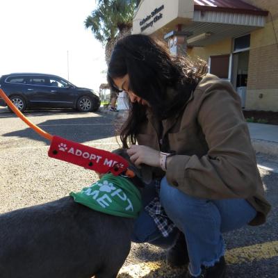 Best Friends marketing intern Jazmin Aguilar squatting down to pet a dog wearing a green Adopt Me bandana