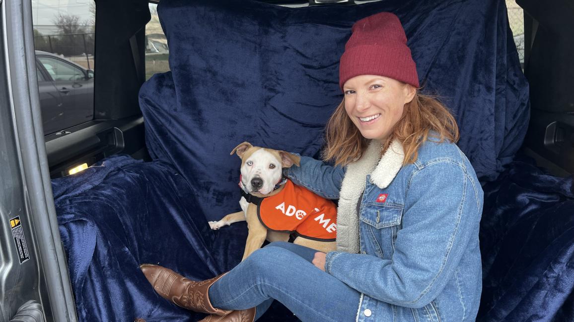 Jessie the dog wearing an Adopt Me vest, in the back of a vehicle with Pam