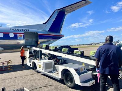 Person putting carriers containing animals on a conveyor belt leading into a plane