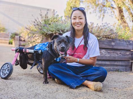 Kody the dog in her wheelchair next to Ranko Fukuda