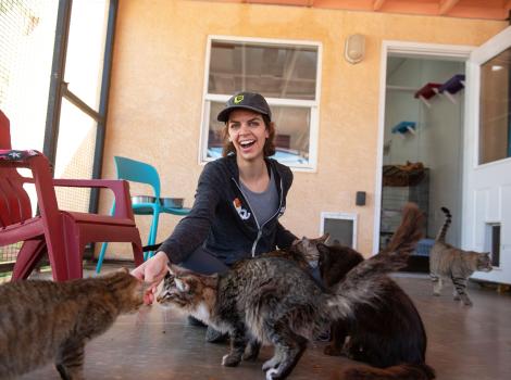 Katy Bentz in a room in Cat World