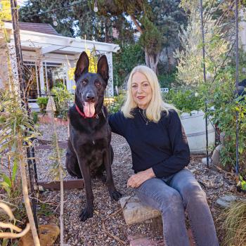 Person sitting next to a large, black German shepherd outside in a yard