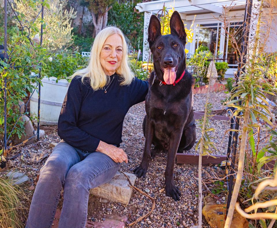 Person sitting in a garden with a shepherd mix dog by their side