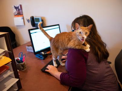 Person working on a laptop computer with a cat on her shoulder