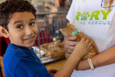 Happy child petting an orange tabby kitten who is being held by another person