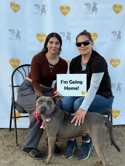 Lexi the dog with her new family from the Los Angeles Super Adoption