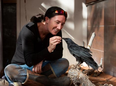 Smiling person hand-feeding a treat to Kazoo the crow