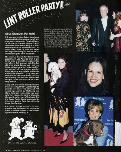 Lint Roller magazine article