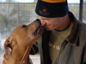 Lucas the Vicktory dog giving Ethan, a Best Friends employee, a kiss on the nose