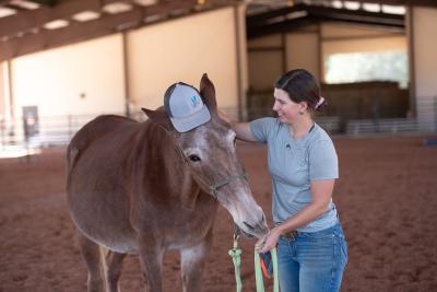 Priscilla putting her hat on Lucky the mule