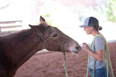 Priscilla with Lucky the mule