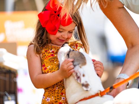 Happy child affectionately cradling a pit-bull-type dog's face