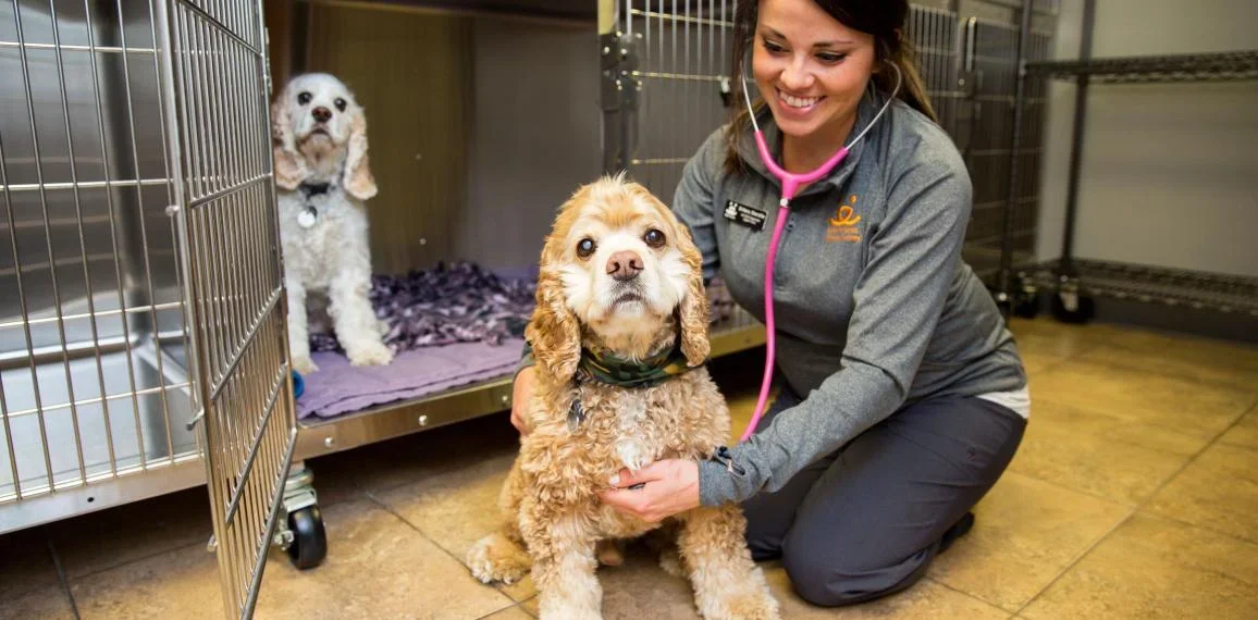 Smiling person sitting with a dog on the floor in a veterinary setting