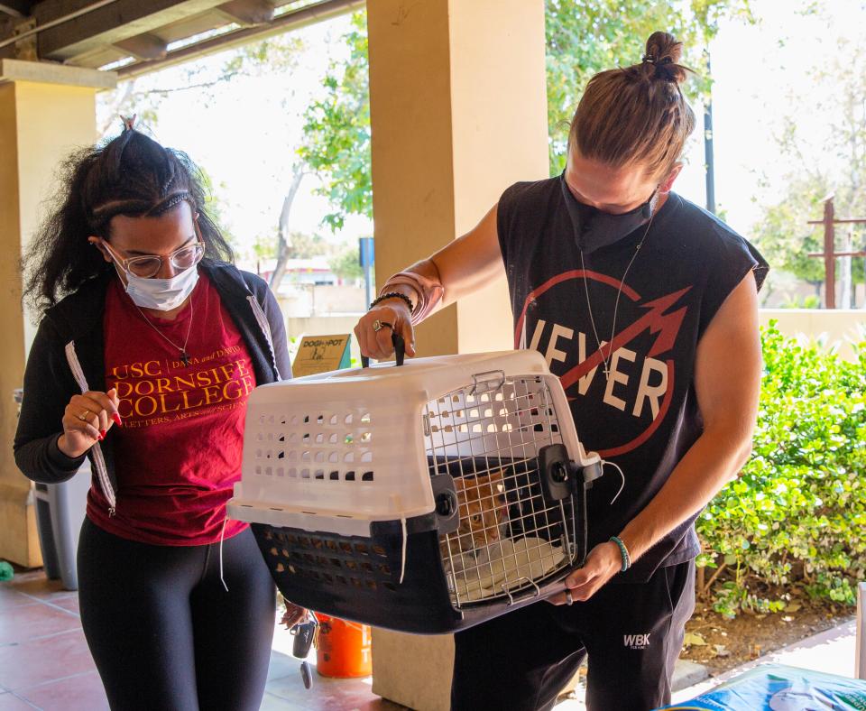 Person holding a pet carrier while walking with another person in Los Angeles