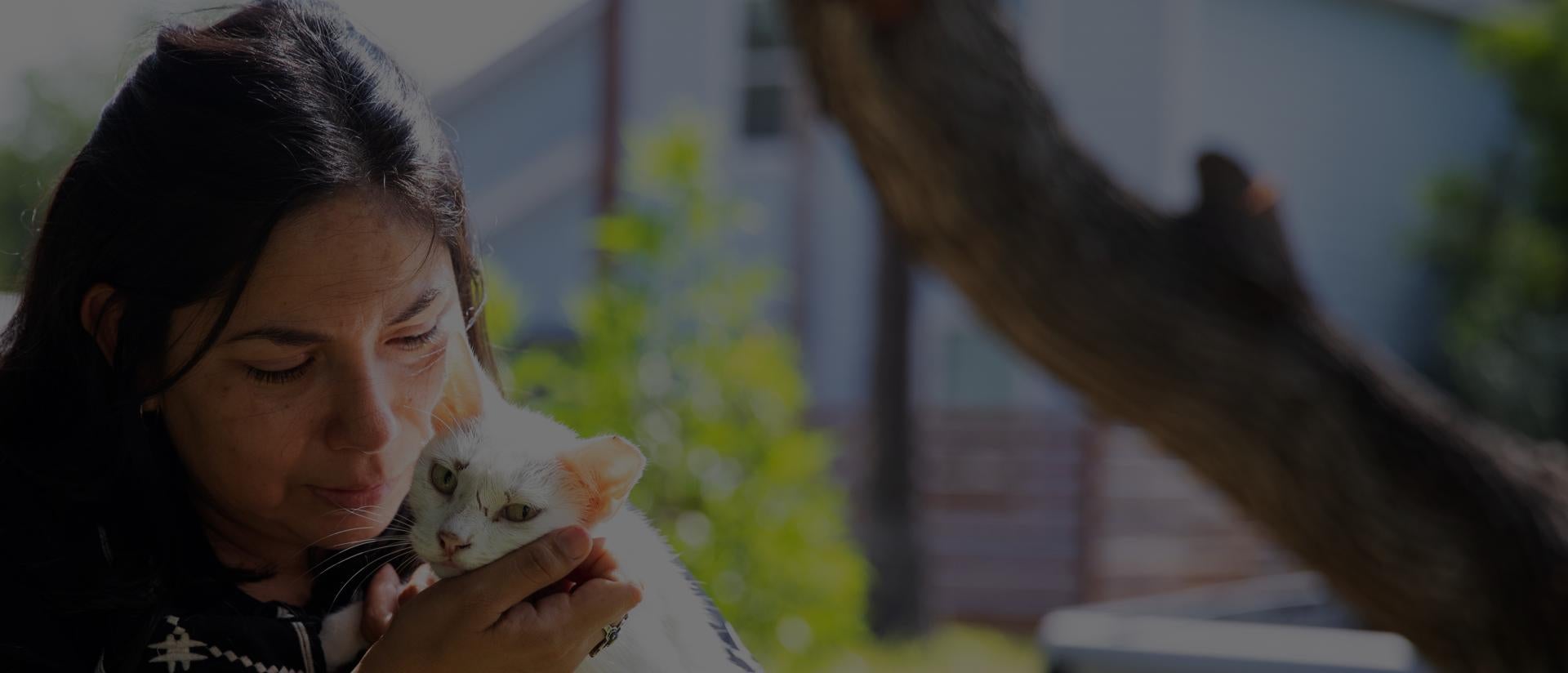 Person holding a cat outside