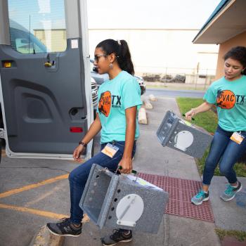 Two people from Palm Valley Animal Society carrying boxes containing community cats to a van