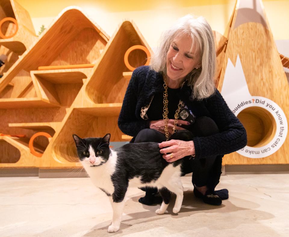 Smiling person petting a cat at the Best Friends Pet Resource Center in Northwest Arkansas